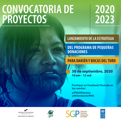 Boletín PPD septiembre 2020. Celebramos el lanzamiento de la estrategia 2020-2023 ✅